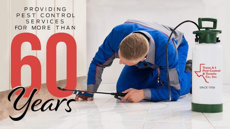 Texas A-1 Pest Control and Termite Co — attic cleaning services