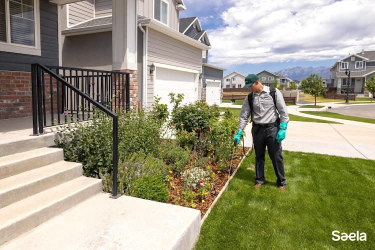 Saela Pest Control — attic cleaning services