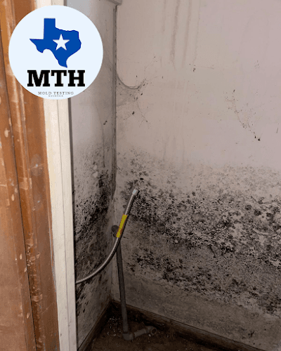 Mold Testing Houston - Post Oak — attic cleaning services