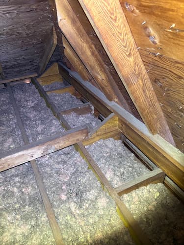PCA Wildlife LLC — attic cleaning services