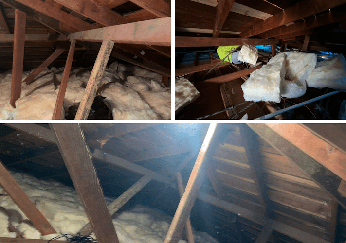 Clean Air Attic Insulation — attic cleaning services