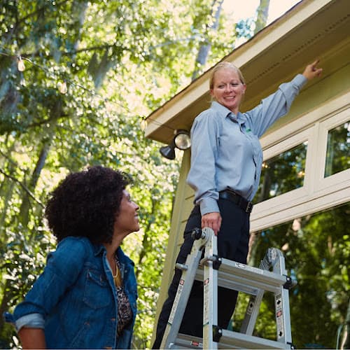 Terminix — attic cleaning services