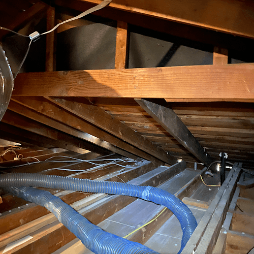 Attic Advisor — attic cleaning services