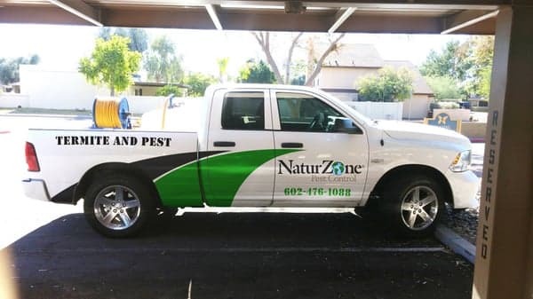Naturzone Pest Control — attic cleaning services