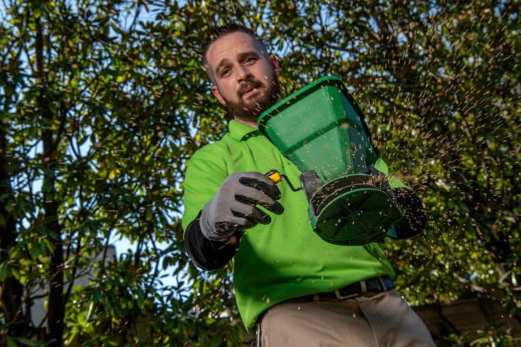 Green Army Healthy Home and Pest Solutions — attic cleaning services