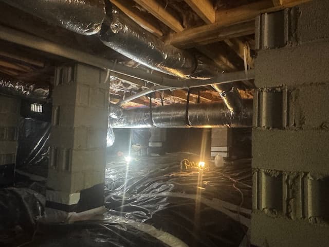 Claro - Complete Mold Remediation - Nashville — attic cleaning services