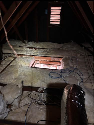 Professional Rodent Control — attic cleaning company in Los Angeles, CA