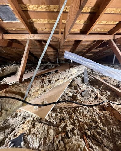 Attic Professional — attic cleaning services