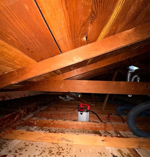 Eco Attic Systems — attic cleaning services
