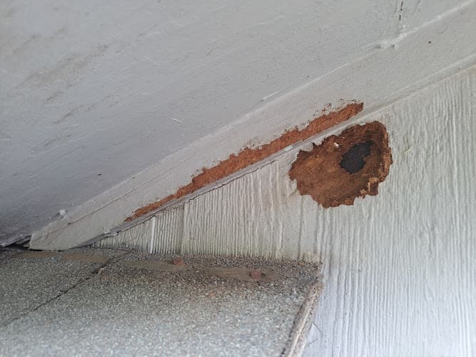 Jenkins Pest Control — attic cleaning company in Houston, TX