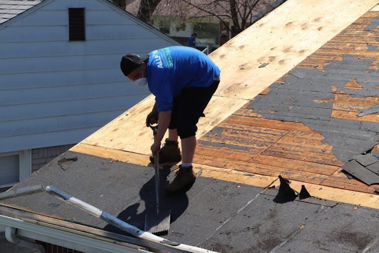 Apex Shield Roof Services — attic cleaning services