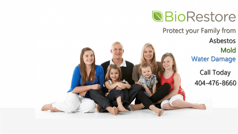 BioRestore Asbestos & Mold — attic cleaning services