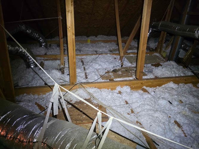 Haven Pest Solutions — attic cleaning services