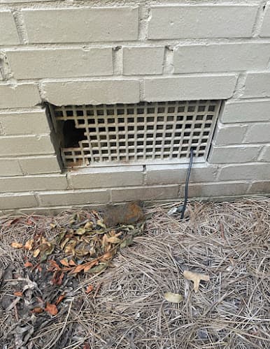 Rite Way Animal Removal — attic cleaning company in Marietta, GA