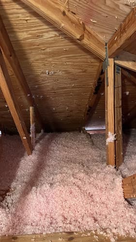 Anytime Group — attic cleaning services