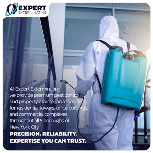 Expert Exterminating Inc. — attic cleaning company in New York, NY