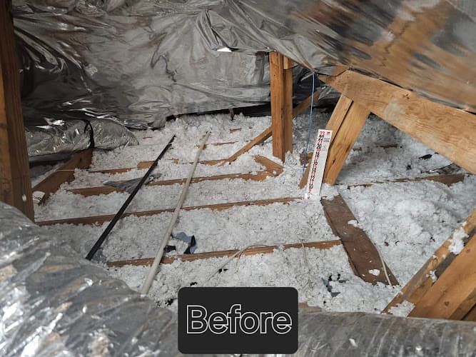 Y Energy Solution — attic cleaning company in Spring, TX