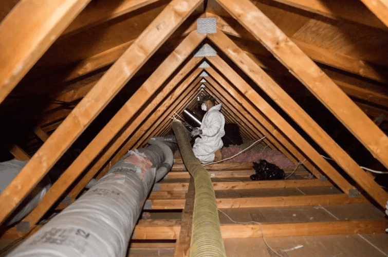 Attic Projects — attic cleaning services