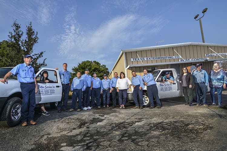 Protex Service Inc — attic cleaning services