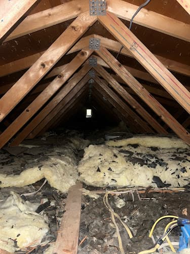 Thermal Home Solutions — attic cleaning services