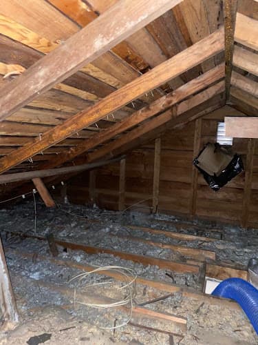 Attic Star — attic cleaning services