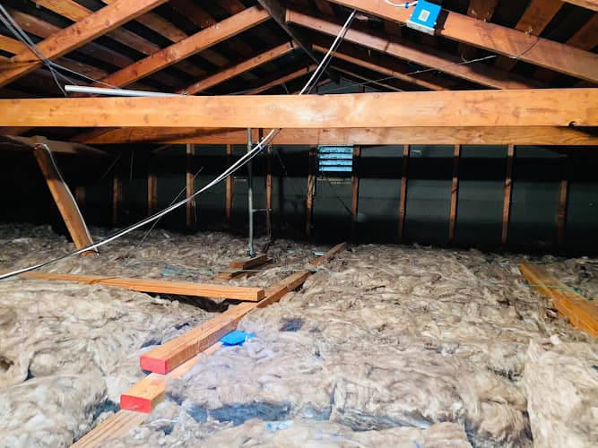 Super Attic Solutions — attic cleaning services