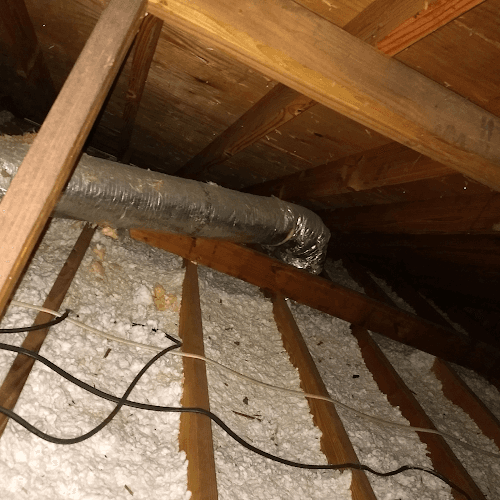 Rite Way Animal Removal — attic cleaning services