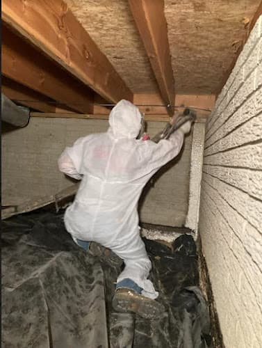 USA Insulation of Columbus — attic cleaning services