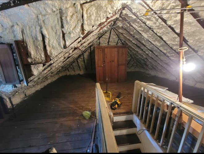 Ecowise Insulation Inc. — attic cleaning services