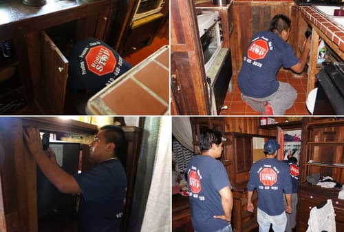 Rodents Stop - Los Angeles — attic cleaning company in Los Angeles, CA