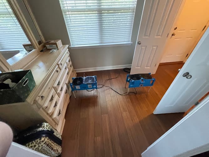 North Star Services — attic cleaning services