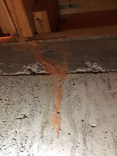 Corsello & Sons Pest Control — attic cleaning company in Atlanta, GA