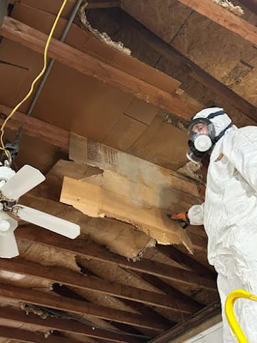 Lightspeed Restoration of West Nashville — attic cleaning services