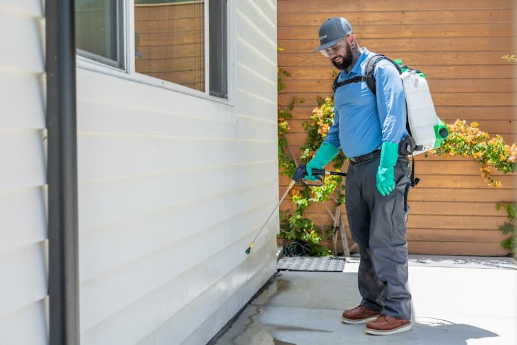 Brooks Pest Solutions — attic cleaning services