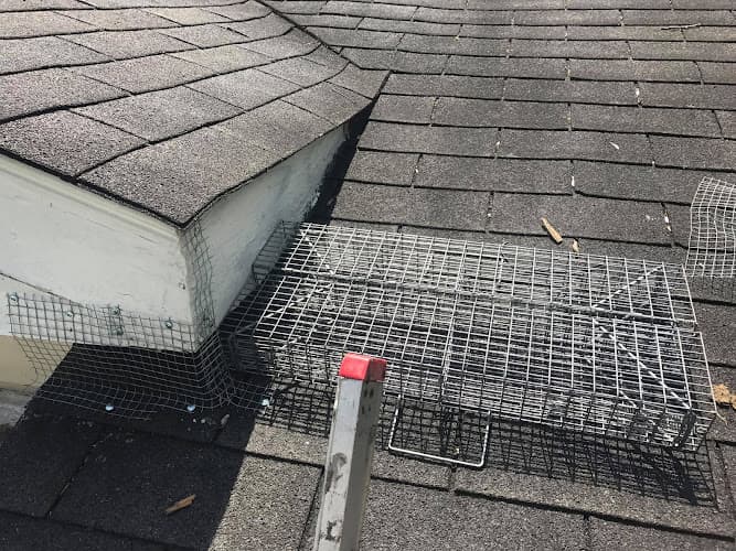 Denver Animal Exterminator — attic cleaning services