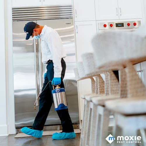 Moxie Pest Control — attic cleaning services