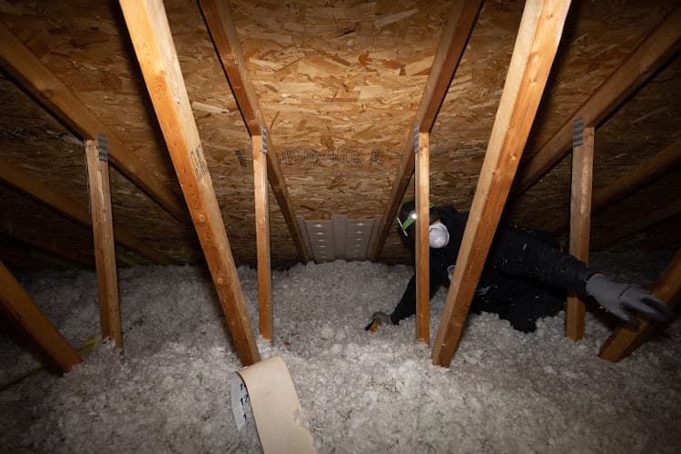Affordable Insulation — attic cleaning services