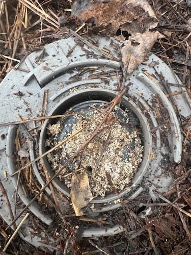 Nextgen Pest Solutions — attic cleaning company in Alpharetta, GA