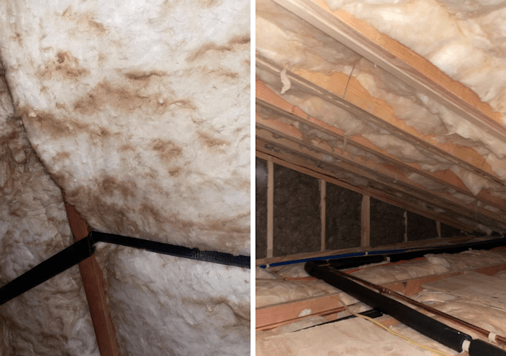Cut Above Insulation Pros — attic cleaning services