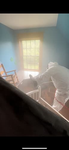 Charlotte Exterminating inc — attic cleaning services