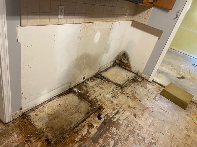 Clymore Mold Solutions — attic cleaning services