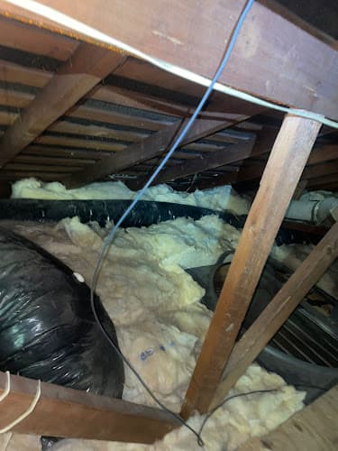Fresh San Diego Insulation — attic cleaning services
