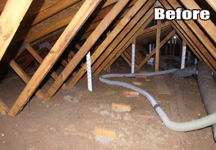 Clean Crawls — attic cleaning company in Lakewood, WA