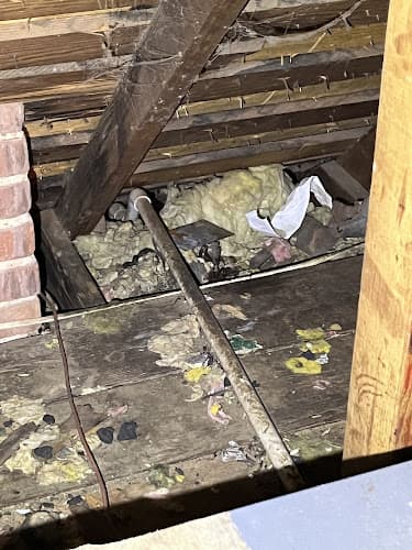 Critter Stop Dallas — attic cleaning services