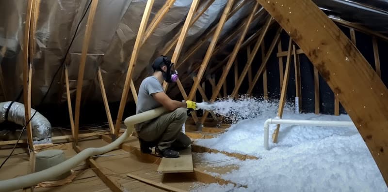 Alpha — attic cleaning services