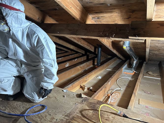 Green Attic — attic cleaning company in Mountlake Terrace, WA