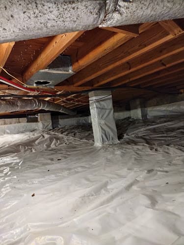 Atlanta Mold Remediation & Cleanup Services | Mold Removal & Testing — attic cleaning services