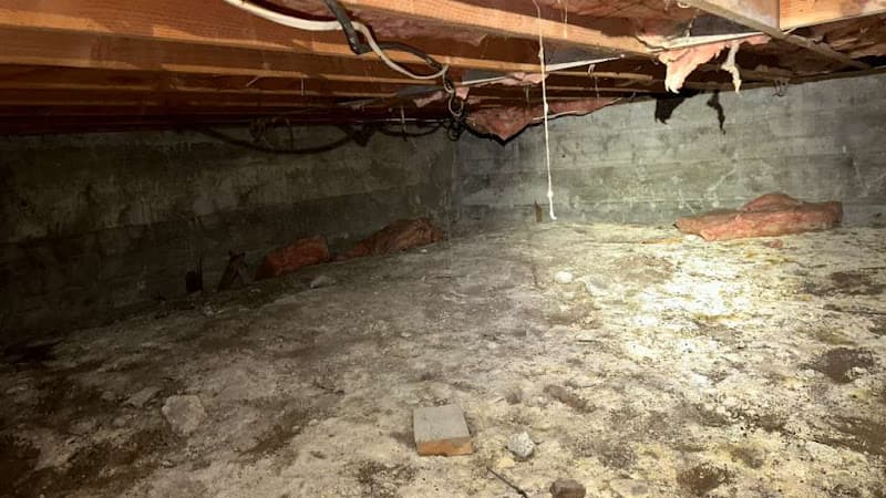 ZeroVap — attic cleaning company in Van Nuys, CA