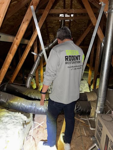 Green Rodent Restoration of Orlando — attic cleaning services