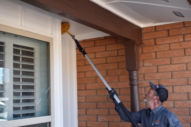 Rove Pest Control — attic cleaning services